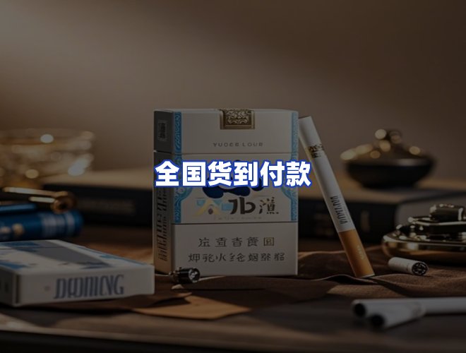 专业团队